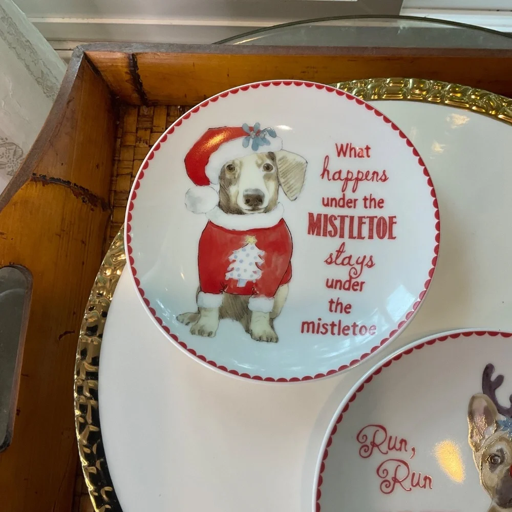 Pier 1 Christmas Dog Plates 2 Total NWOT